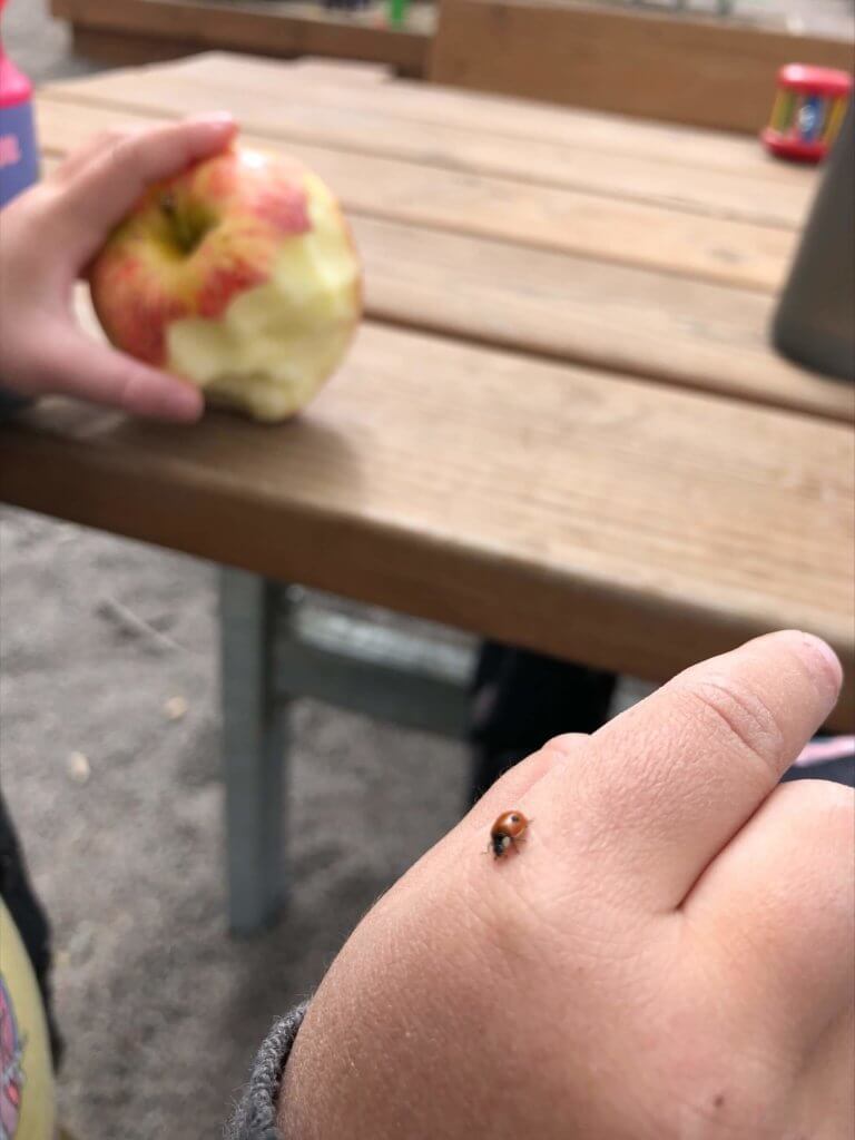 Barn med nyckelpiga på handen äter äpple